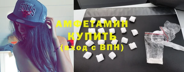 индика Семикаракорск