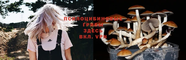винт Аркадак