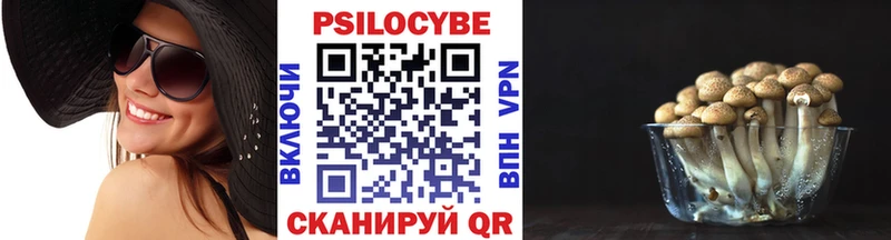 Галлюциногенные грибы GOLDEN TEACHER  Малмыж 